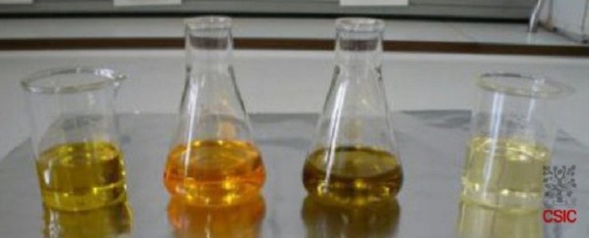 Producen combustible con aceite de cocina usado