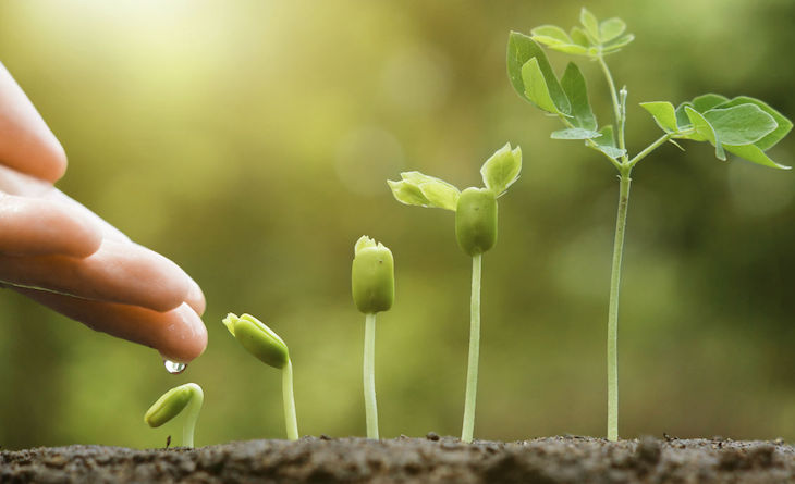 El cuarto FORO MEDIO AMBIENTE Y SOSTENIBILIDAD