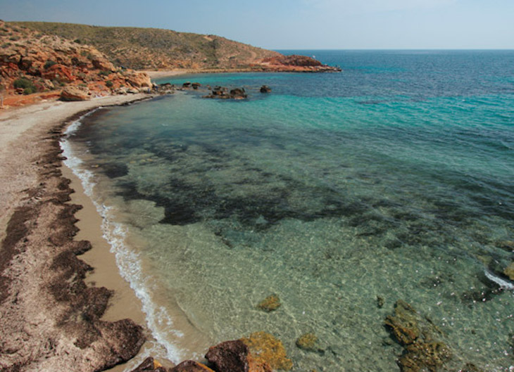 EQUO y el Partido Verde Europeo respaldan la petición de la coalición Pacto por el Mar Menor para que el Parlamento Europeo proteja este espacio único