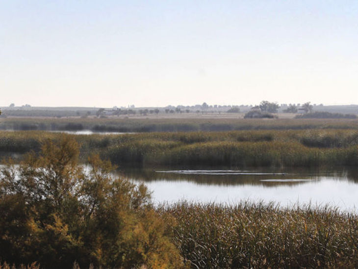El ‘descontrol total’ de los pozos de regadío ilegales en las Tablas de Daimiel