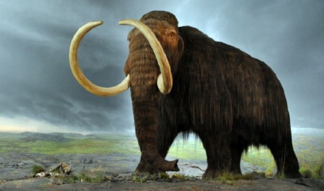 El ser humano aniquila a los grandes mamíferos desde hace miles de años