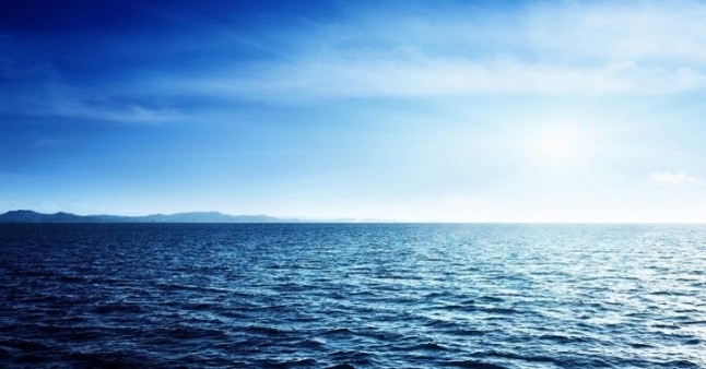 EQUO pregunta al Gobierno por su postura sobre el tratado mundial de protección de los océanos