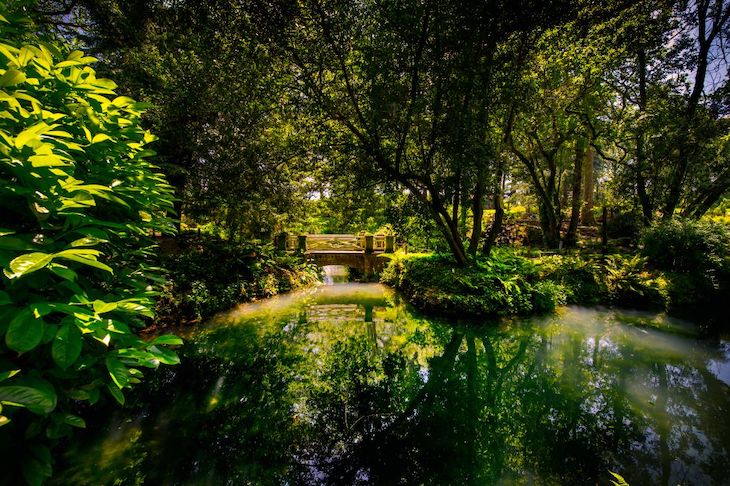 El Jardín Botánico de Gijón potenciará su labor científica ligada al calentamiento global