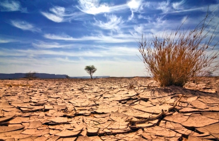Los barrios y pequeñas comunidades sostenibles son vitales para afrontar el cambio climático