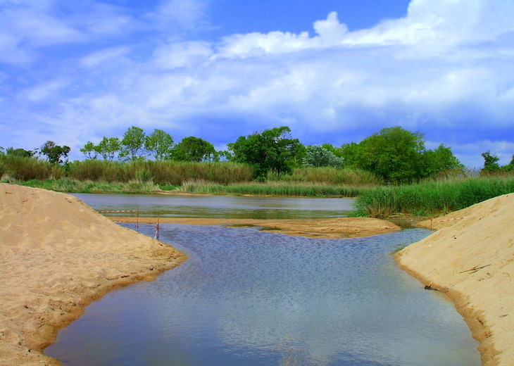 Gravísimo impacto ecológico en el río Tordera (Girona)