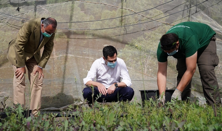 Reforestando Andalucía dentro de la Revolución verde