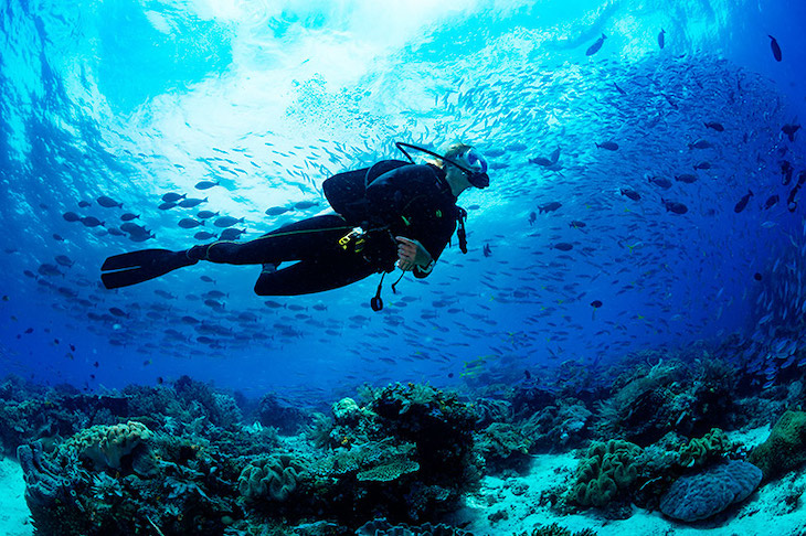 Lluvia de millones para proyectos de conservación del mar balear