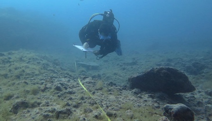Un índice mide la eficacia de las reservas marinas para proteger la biodiversidad