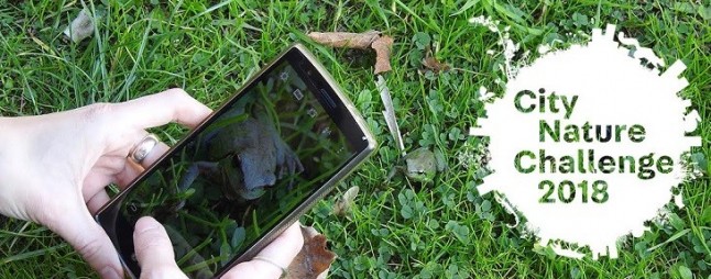 Barcelona participará en una maratón mundial de biodiversidad