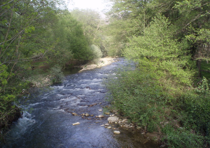 La importancia de no dejar atrás la salud de los ríos y los humedales