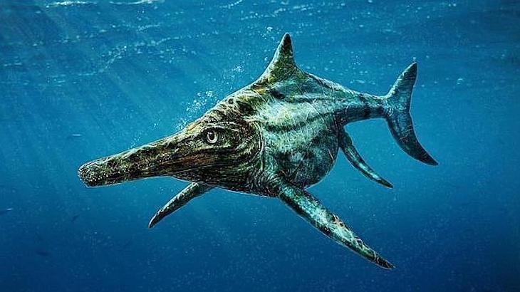 El depredador del Triásico que trituraba moluscos