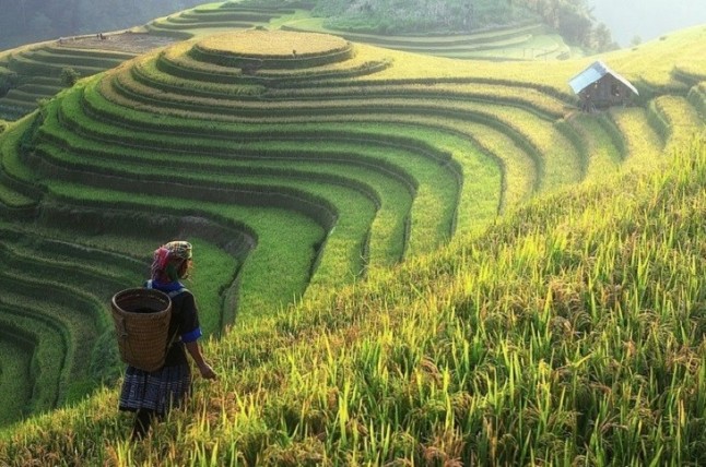 Países africanos y China deciden crear un nuevo centro de cooperación ambiental