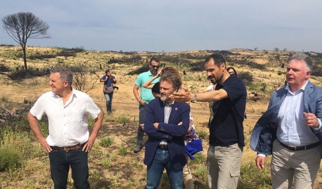 El Consejo de Participación de Doñana informa sobre el plan de restauración del incendio de 2017