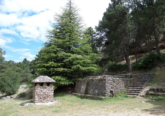 Baleares abre el proceso de consulta pública sobre la red de áreas de ocio en la naturaleza