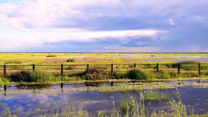 Los ‘cazadores’ excluidos del congreso que celebrará los 50 años de Doñana
