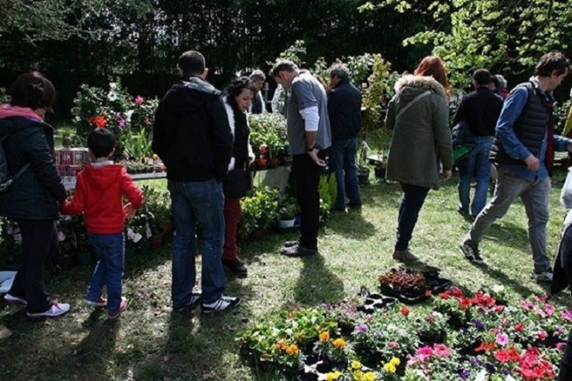 V mercado de flores y plantas de Güeñes