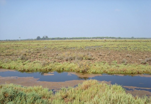 Podemos defiende en el Parlamento un pacto para blindar Doñana