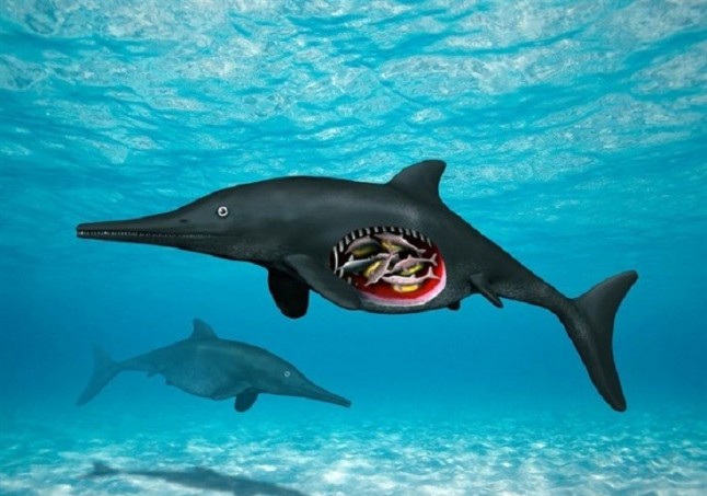 Restos de una reptil prehistórica embarazada con octillizos