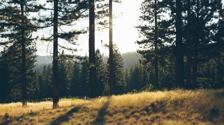 Empieza la prohibición de hacer fuego en el bosque en Catalunya