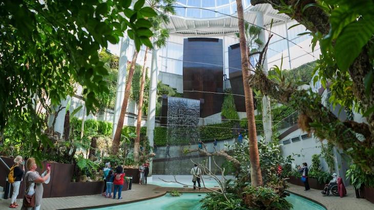 V aniversario del Botánico-Orquidario de Estepona