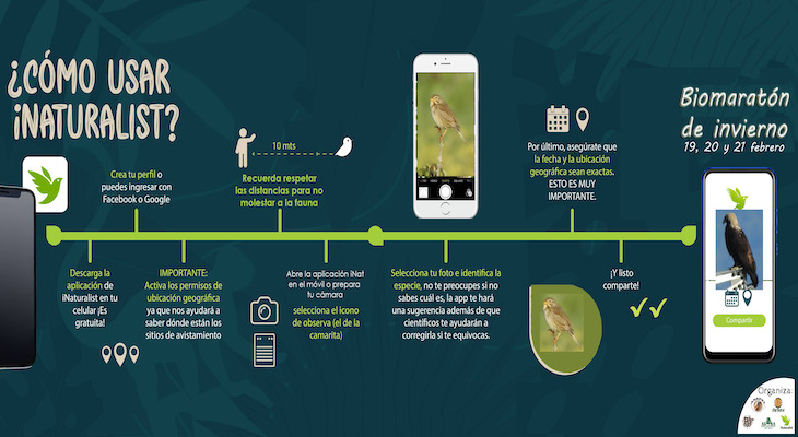 El Biomaratón de Invierno. Biodiversidad y Ciencia Ciudadana
