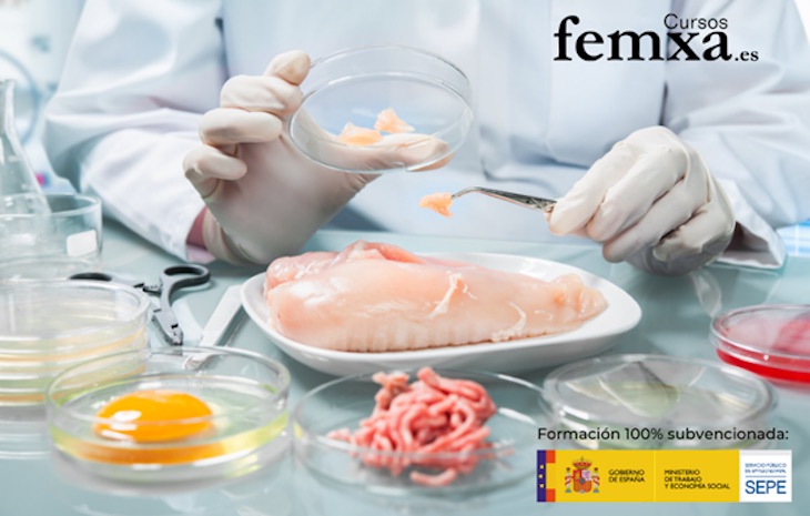 FEMXA nos forma en Seguridad Alimentaria