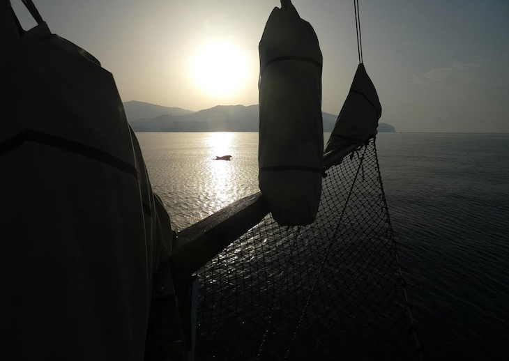 Primeros resultados del proyecto de evaluación de las interacciones de delfín mular con artes de pesca artesanales de ANSE