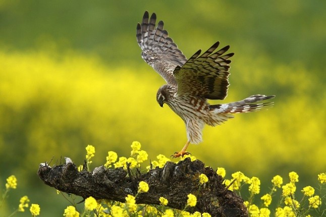 El XI Concurso Fotográfico de Medio Ambiente de La Rioja ya tiene ganador