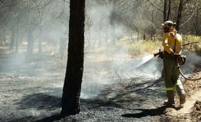 Extinguido el incendio forestal en el paraje Vallesalado de Cartaya (Huelva)