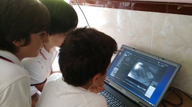 Una webcam sigue 24 horas a una pareja de vencejos pálidos