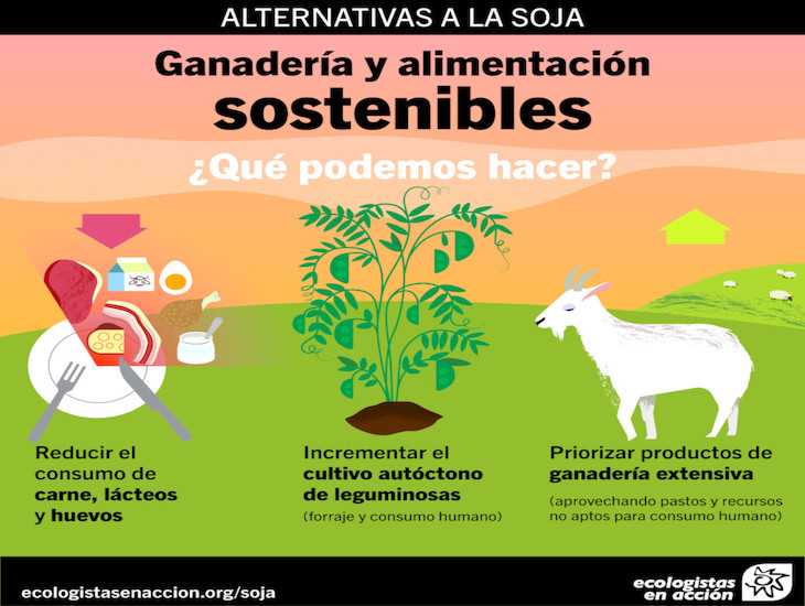 La ‘agridulce’ cara de la soja
