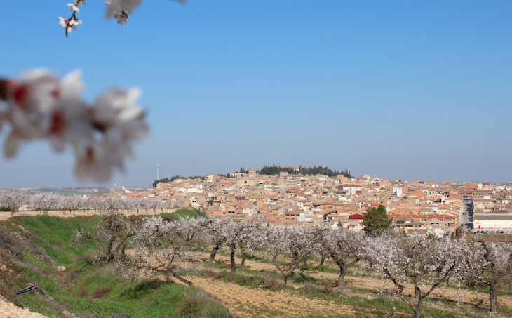Ciencia ciudadana para estudiar el cambio climático en los ciclos de la naturaleza