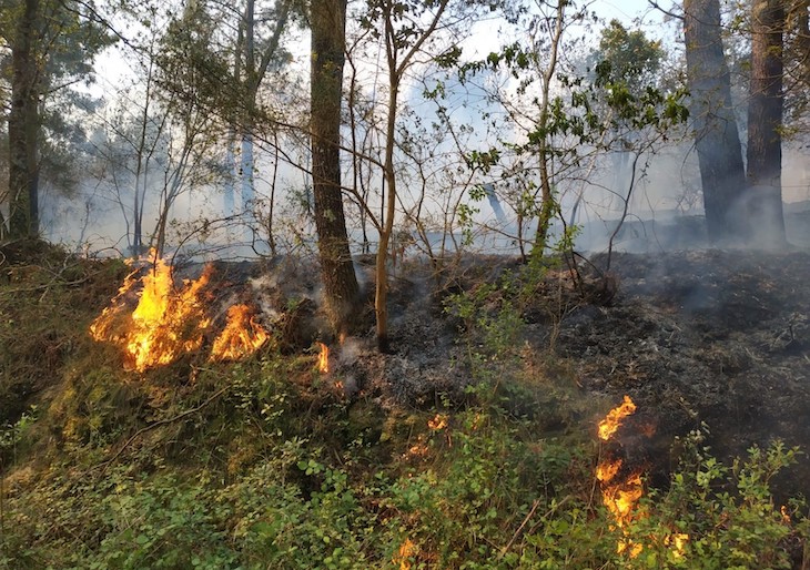 El descenso de los fuegos en 2020 tiene que ver y mucho con el ‘confinamiento’