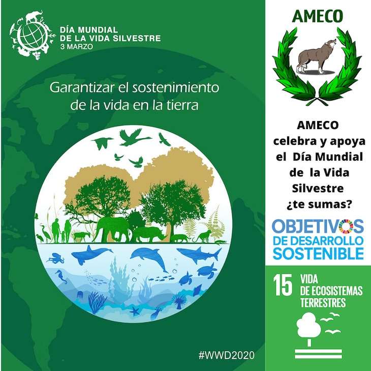 Día Mundial de Vida Silvestre