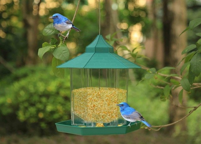 Pon un comedor para las aves en tu vida