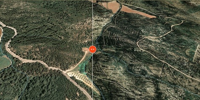 Catalunya. ‘Foc al bosc’ hace visibles los efectos de los incendios forestales