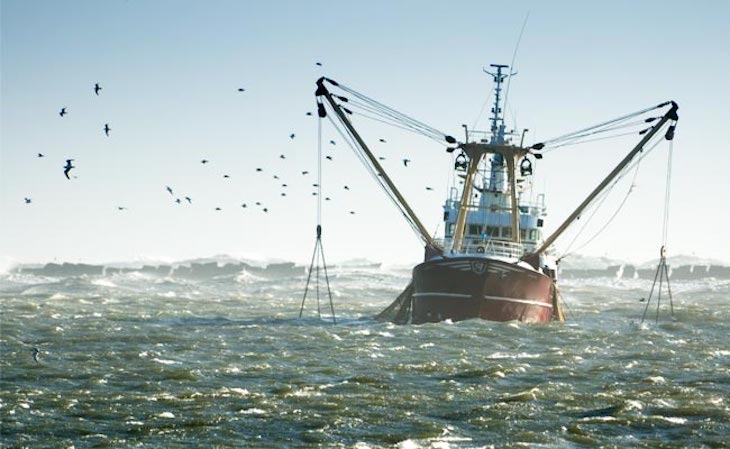 La ‘maldita’ sobrepesca en Europa