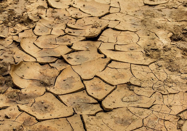 Apple arranca un ambicioso fondo para acelerar soluciones contra el calentamiento global