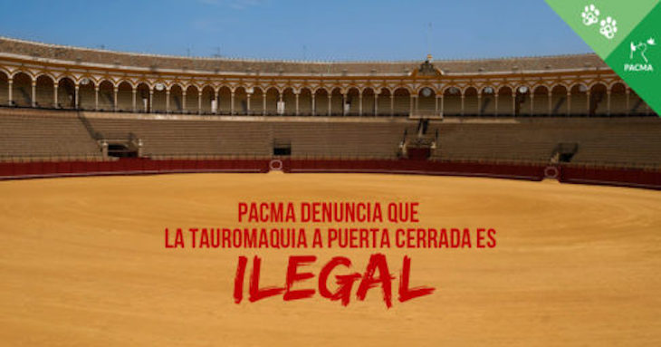 Los ‘atropellos’ taurinos a puerta cerrada son ilegales