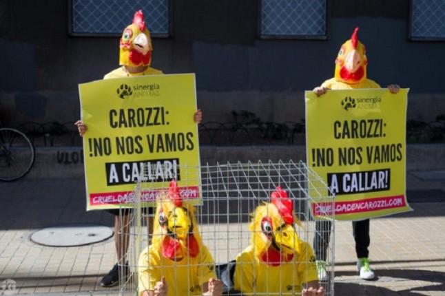 No Más Jaulas: ONG protesta contra forma de producción de huevos en Argentina