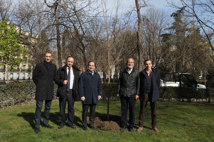 El Retiro de Madrid recupera sus tradicionales olmos gracias a nuevos árboles resistentes a la grafiosis