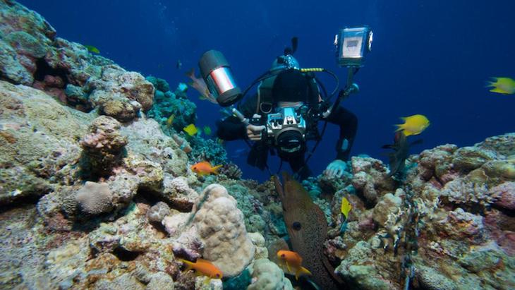 Fundación Biodiversidad lidera el proyecto ‘LIFE Intemares’