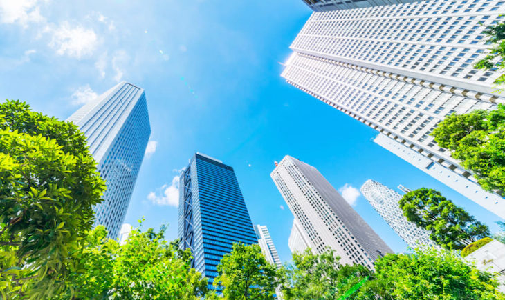 El efecto isla de calor adelanta seis días la primavera en ciudades estadounidenses