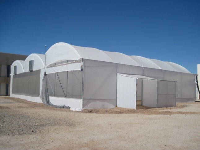 Climatizan invernaderos de pepino y tomate con energía geotérmica