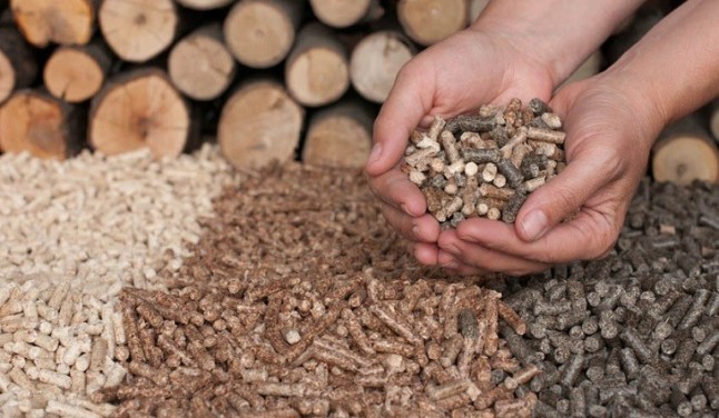 La asociación Española Avebiom sitúa la biomasa como principal elemento en la estrategia de fomento de la economía circular