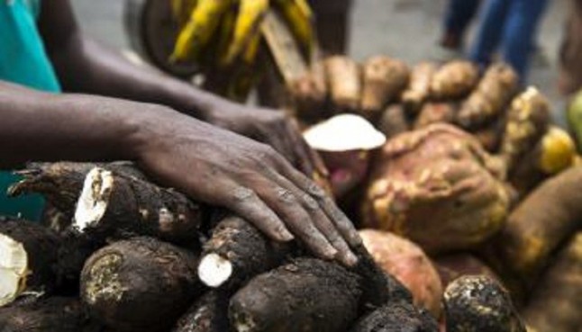 Inclusión y sostenibilidad