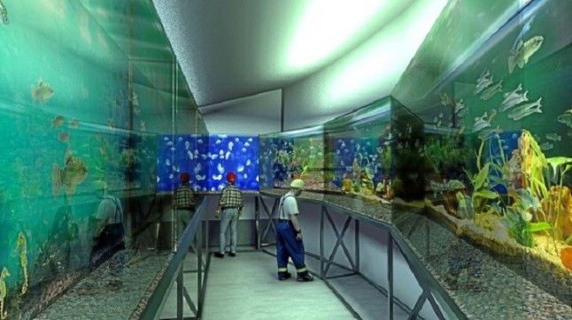 La marcianada del acuario de plaza Nueva de Alicante