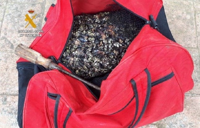 Pillan a seis furtivos con 30 kilos de percebes en Tagle y Oriñón