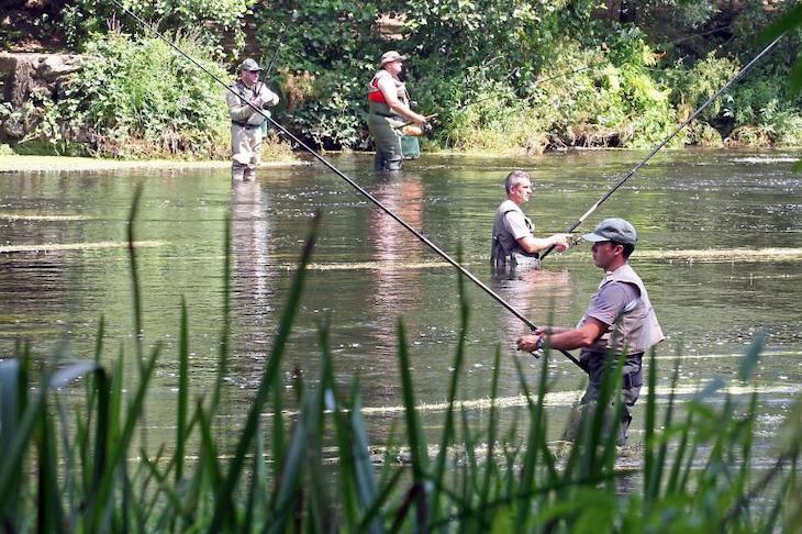 Galicia se niega a prohibir la pesca recreativa en el COVID-19