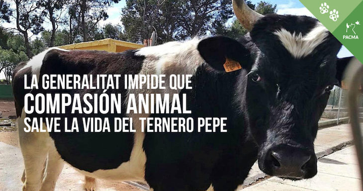 Pepe ‘somos todos’